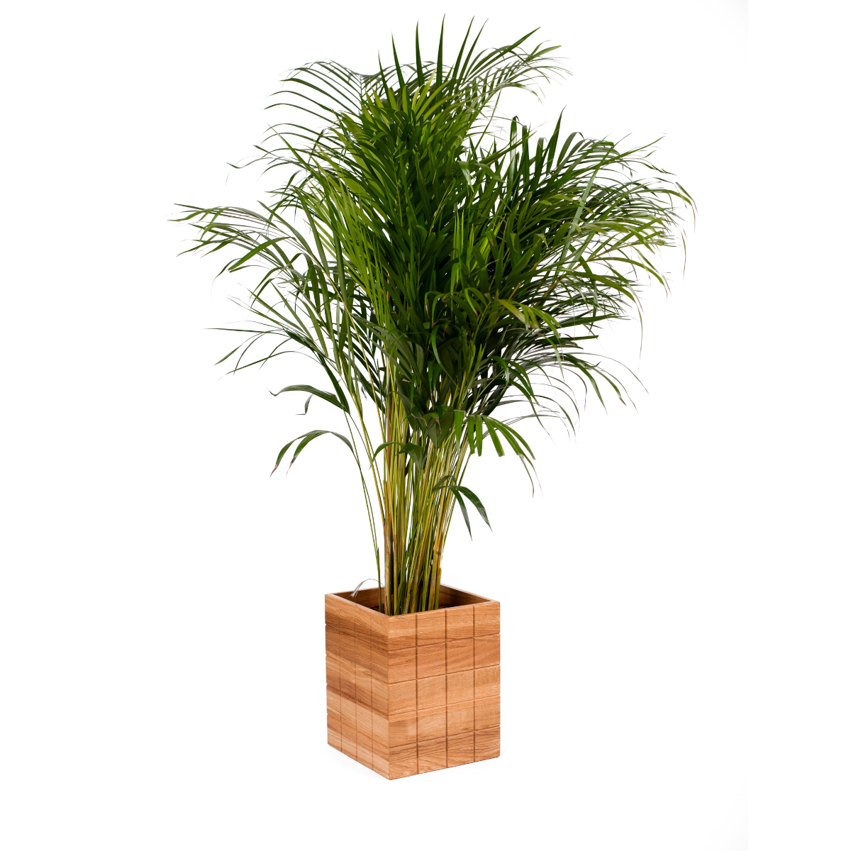 Doniczka SAKU - obrazek 2